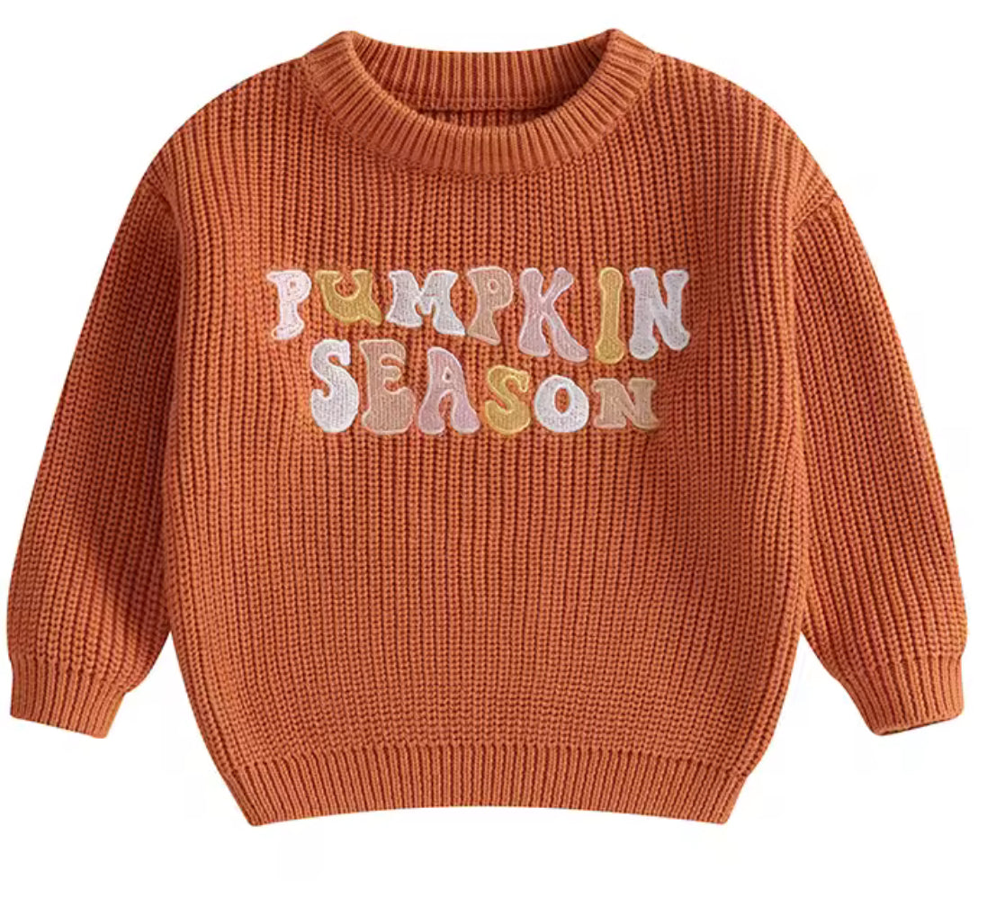 Pumpkin Season Knit